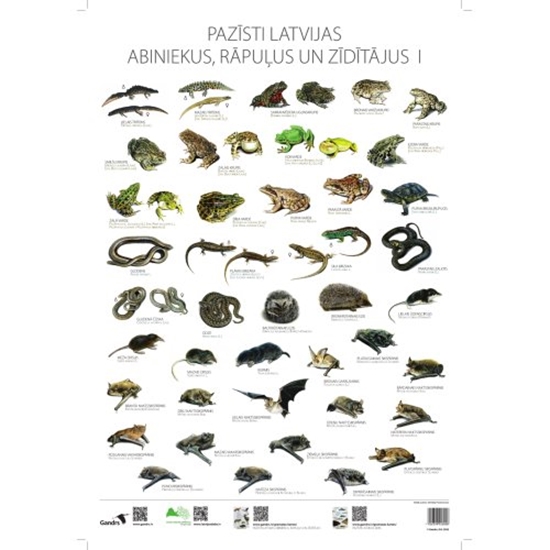 Изображение Pazīsti Latvijas abiniekus, rāpuļus un zīdītājus I
