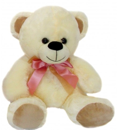 Attēls no Plīša lācis 40 cm (M3364) baltais 144157-1