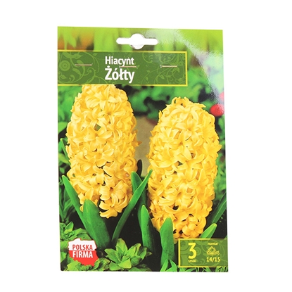 Picture of Sīpolpuķes Hiacintes dzeltenas 14/15 3gab.