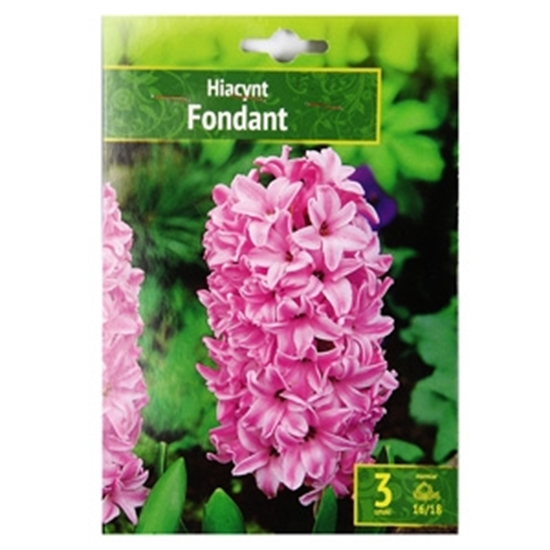 Picture of Sīpolpuķes Hiacintes Fondant 3gab