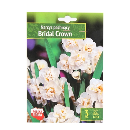 Picture of Sīpolpuķes Narcises Bridal Crown