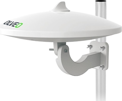 Attēls no Telefon komórkowy Evolveo Jade 1 LTE