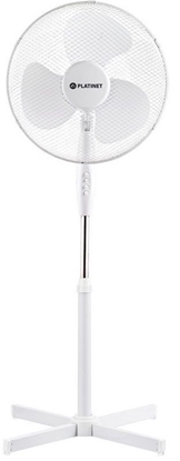 Изображение NONAME