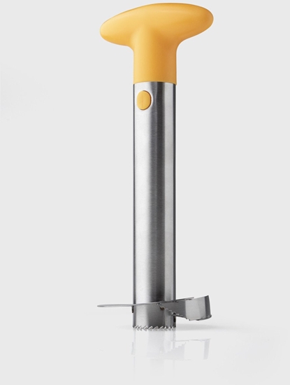 Изображение Ananaso pjaustykl Taylor Eye QF009