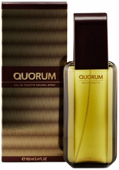 Picture of Antonio Puig Quorum Perfume EDT 100 ml