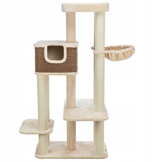 Picture of Bertholo, drapak stojcy, dla kota, kremowy/ciemnobrzowy, 165 cm