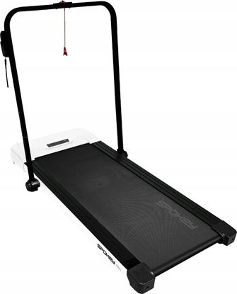 Picture of Bienia Spokey Erin elektryczna