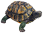 Attēls no Dārza dekors Bruņurupucis 29x22x11cm