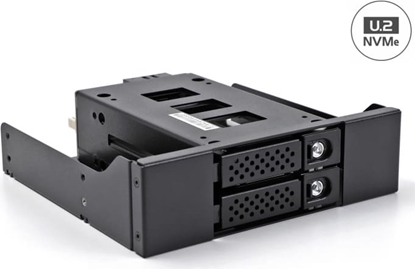 Attēls no Delock Slim Bay Mobile Rack for 2 x 2.5″ U.2 NVMe SSD with 5.25″ frame