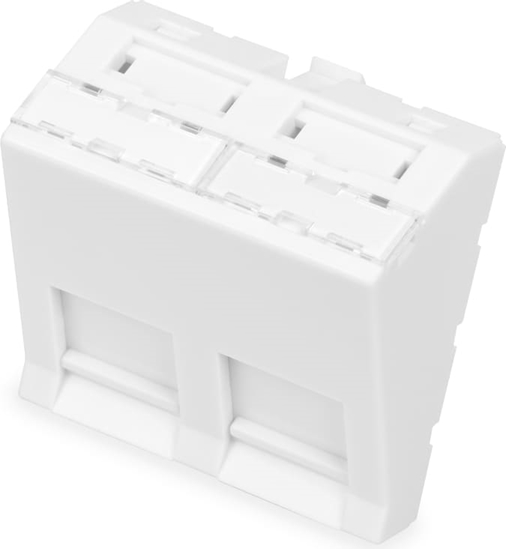 Изображение Digitus Front panel, 2-port, 45 x 45 mm, angled, for frame DN-93802-5-SH