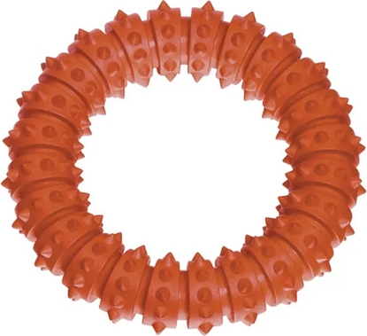 Attēls no DOG TOY 45859