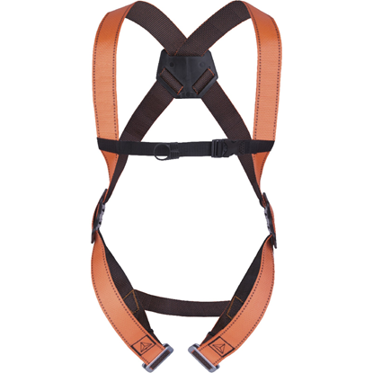 Picture of Drošības sistēma 1 cilpa aizmugurē