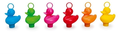 Изображение Fisk en and - koralrev