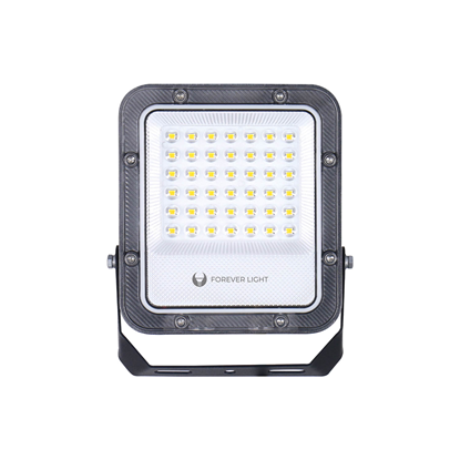Picture of Floodlight LED PROXIM+ 30W 6500K 4500lm 230V IP65 