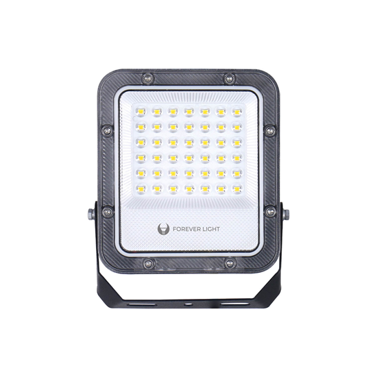 Picture of Floodlight LED PROXIM+ 30W 6500K 4500lm 230V IP65 