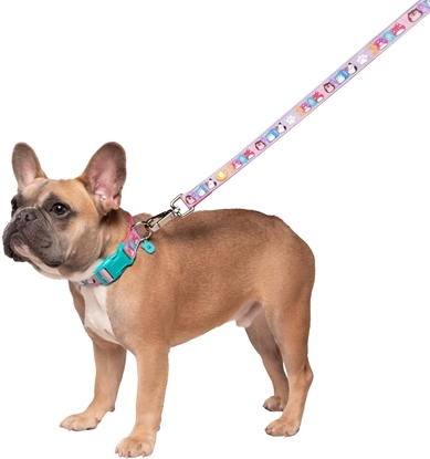 Picture of JAS PETS SMYCZ DLA PSA