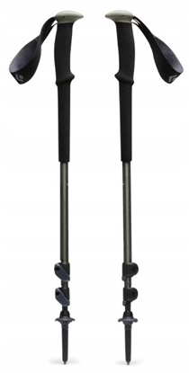 Picture of Kije trekkingowe Black Diamond Trail Trekking Poles Pine Smoke