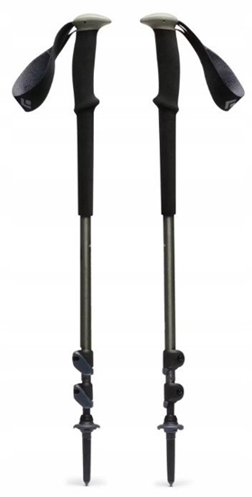 Picture of Kije trekkingowe Black Diamond Trail Trekking Poles Pine Smoke