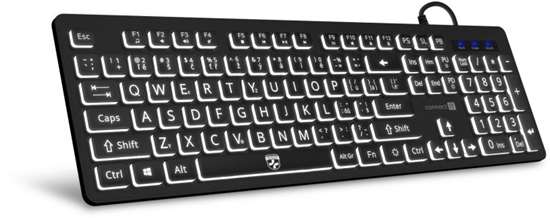 Picture of Klawiatura Connect IT CONNECT IT Klávesnice FOR HEALTH LargeFont ergonomická klávesnice s velkým fontem, drátová, membránová, CZ + SK, erná