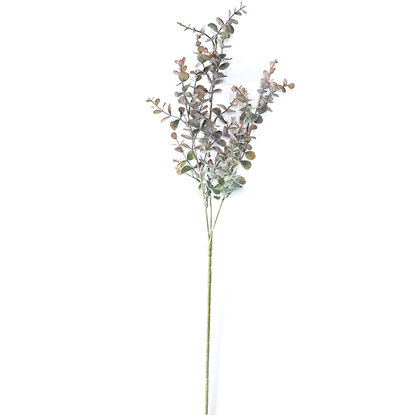 Attēls no Mākslīgā Eikalipta zars 64cm, 2veidi