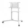 Picture of NEWSTAR MOBILE FLAT SCREEN FLOOR STAND (HEIGHT: 160 CM) 37-70" WHITE