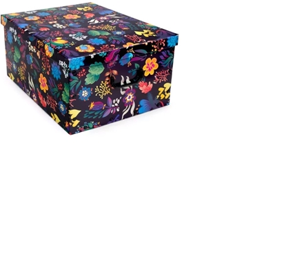 Изображение ORDINETT Kaste kartona 49x39x25cm Big Box Fantasy asorti 1201041