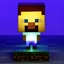 Picture of Paladone Minecraft Steve Icon Light