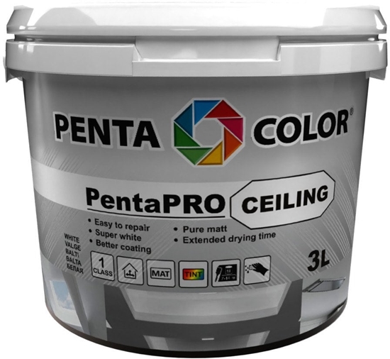 Picture of Pentacolor PAINT PENTACOLOR PENTAPRO CEILING BALT3L