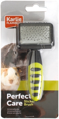 Picture of Rodent, szczotka dla gryzonia, stal, plastikowa, 12X6X3.5cm