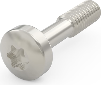 Изображение Schroff Collar Screw, Torx M2.5 x 12.3 mm, Steel Nickel Plated, 100 pieces