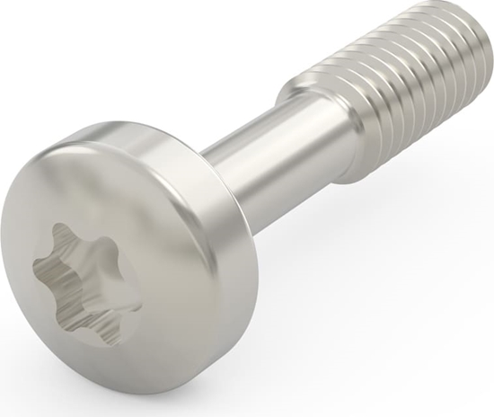 Изображение Schroff Collar Screw, Torx M2.5 x 12.3 mm, Steel Nickel Plated, 100 pieces