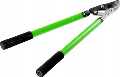 Attēls no Sekator Geko noycowy