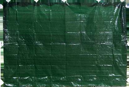 Attēls no Siena nojumei 195x290cm zaļa