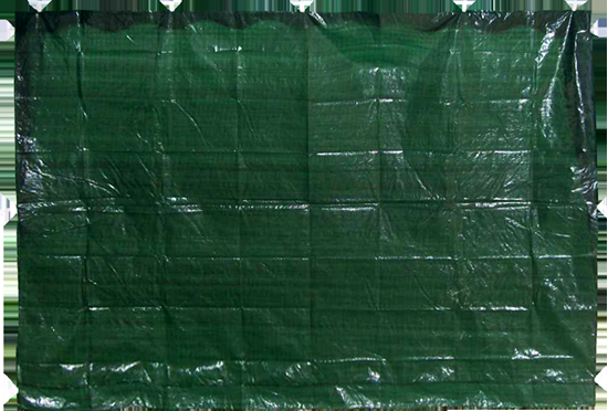 Picture of Siena nojumei 195x290cm zaļa