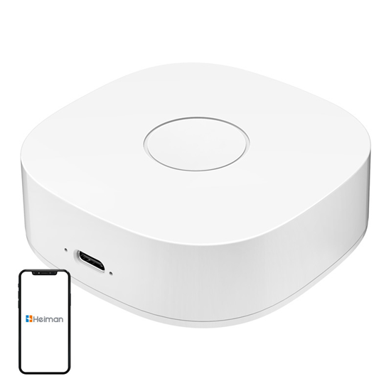 Picture of Smart home WS2GW-R WiFi