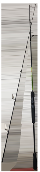 Изображение Spinings 198cm Pro Catch