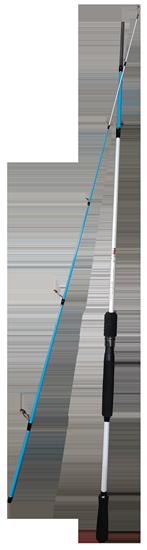 Изображение Spinings 210cm Pro Catch balta