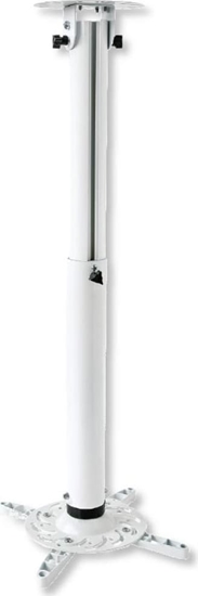 Picture of Techly ICA-PM 104MW projektora stiprinājums Griesti Balts