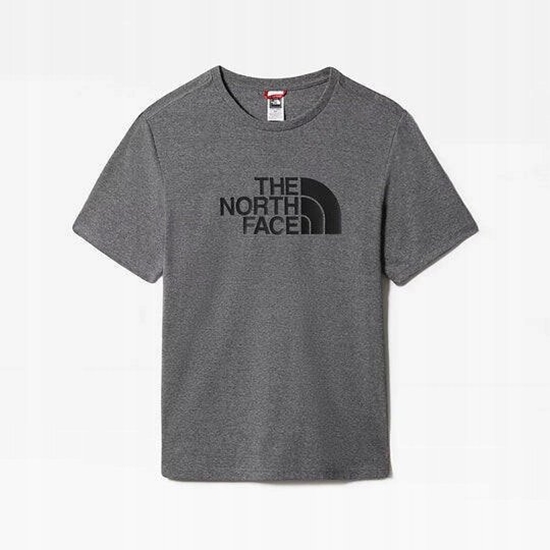 Picture of The North Face M SS Easy Tee NF0A8A6CDYY1 szary S