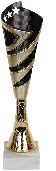 Picture of Tryumf Puchar 8384