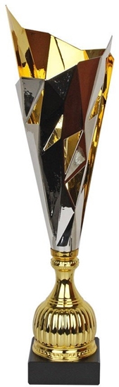 Изображение Tryumf Puchar Tryumf W2051