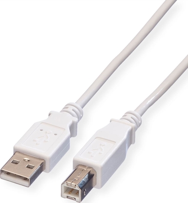 Attēls no USB 2.0 kabelis, A-B, M/M, balts, 0,8m, Value