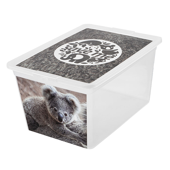 Изображение Uzglabāšanas kaste 30L X box deco koala