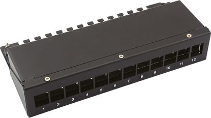 Picture of Value Keystone Module frame, 12 Ports, black