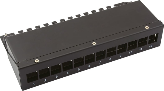 Picture of Value Keystone Module frame, 12 Ports, black
