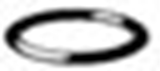 Picture of Viega Element uszczelniajcy EPDM 18 x 2,6mm (281595)