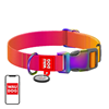 Picture of Waudog gradient nylon dog collar with QR code, ora