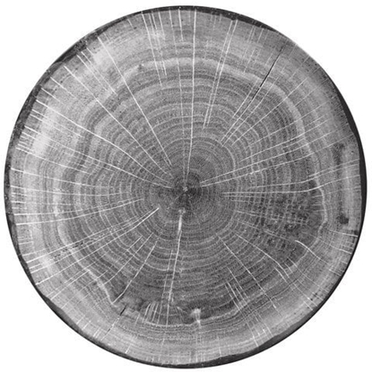 Attēls no Woodart talerz paski szary 24 cm