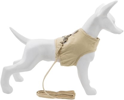 Picture of Zestaw, szelki+smycz, dla psa, ecru, ptno nylonowe, rozmiar XL