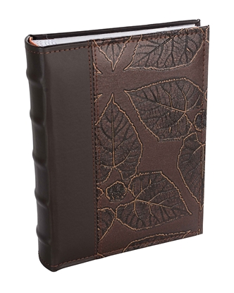 Изображение NONAME